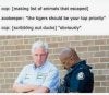 Animal.jpg