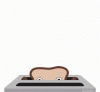 joenottoast.gif