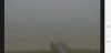 Screenshot_20190619-193045_Surfline.jpg