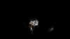 CDBB1AB2-F29A-4524-815A-A79CC03C60C2.png