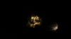 3EDE09D0-2039-42BD-86CC-DD467206B940.png