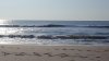 20190728_075853.jpg