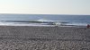 20190810_073159.jpg