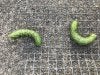 upload_2019-9-19_21-11-17.jpeg