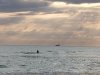 Resized_20190926_075656.jpg