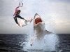 upload_2019-10-27_19-36-27.jpeg