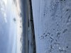 153207EF-E051-4B76-ACE5-280C1B06DDC6.jpeg