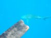 DSCN0712.JPG