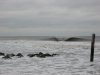 IMG_1356.jpg