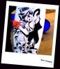 semipro_artphoto.jpg