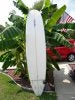 SC Longboard 002.jpg