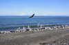 IMG_1606.jpg