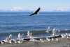 IMG_1606.jpg
