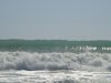 DSC00285.jpg