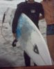 board.jpg