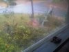 IMG00109-20121029-1313.jpg