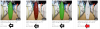 upload_2021-3-3_9-5-35.png