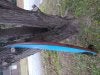 IMG_20220125_173918505.jpg