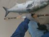 20220524_061259.jpg