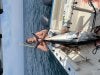 D30B9473-A3C4-4985-8D03-9CAEAD579EF9.jpeg