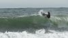 MVI_2830_Trim_Moment.jpg
