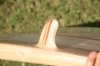 IMG_5325.jpg