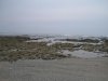 1616248167_92c60da757_b.jpg