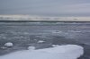 IMG_3510.jpg
