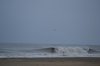 DSC_0103.jpg