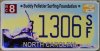 nc2011surfing.jpg