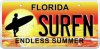 Endless Summer.jpg