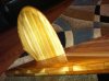 surfboard 14.jpg
