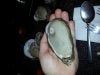 20130202_143532.jpg