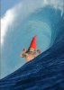 gnomie1.jpg