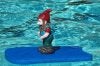 Gnomeboogie.jpg