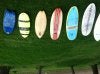 quiver3.jpg
