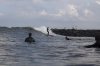 Man Inlet early June swell.jpg