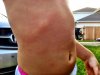 563026_10201180209802694_1307100349_n.jpg