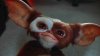 gizmo.jpg