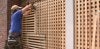 latticework.jpg