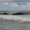 Duck 8-18.jpg