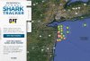 ocearch.jpg