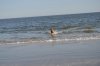 South_Carolina_141[1].jpg