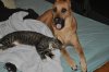 DSC_0389.jpg