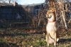 DSC03981.jpg