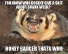 you-know-who-dosent-give-a-shit-about-shark-week-honey-badger-thats-who.jpg