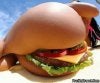 733_bikini-burger.jpg