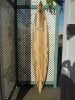 DSCN0478.jpg