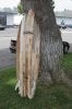 Boards 140.jpg