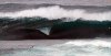1390637_629267323762442_1337620212_n.jpg